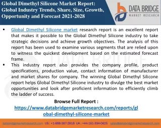 Dimethyl Silicone - Chemical Material