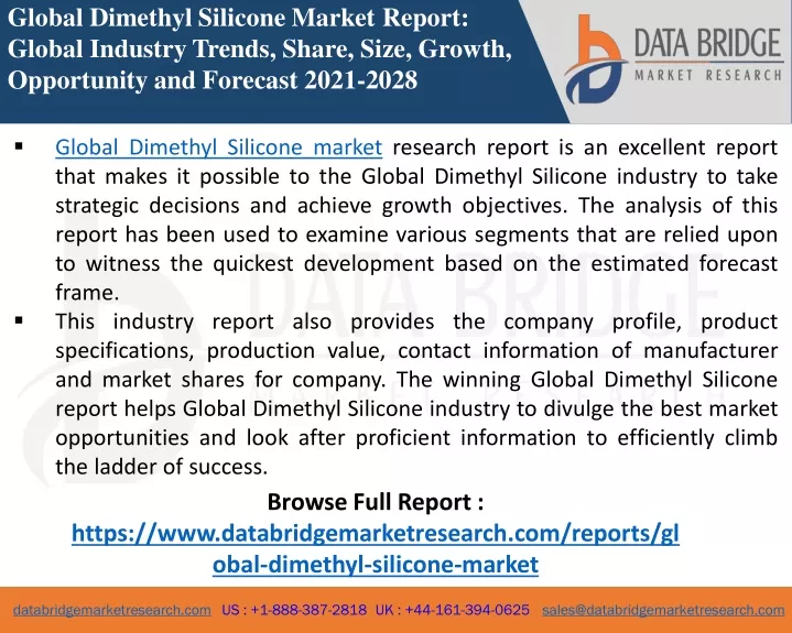 global dimethyl silicone market report global