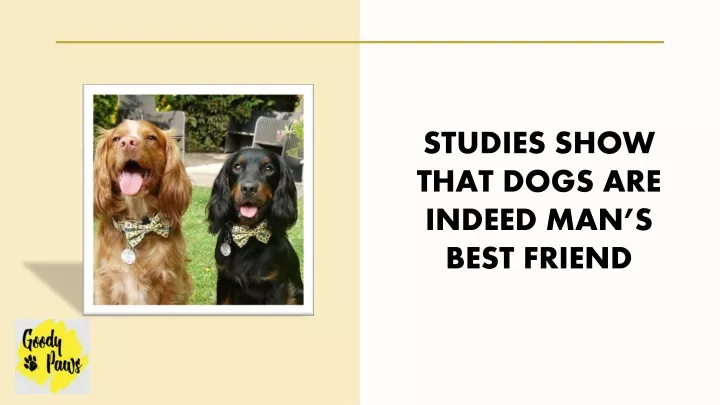 studies show that dogs are indeed man s best