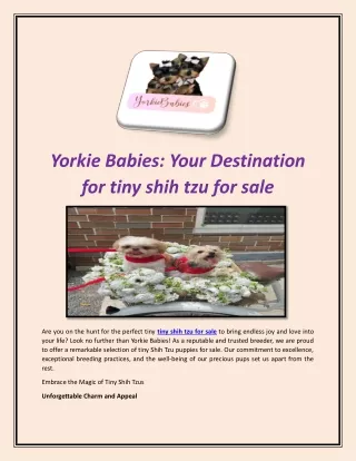 Yorkie Babies Your Destination for tiny shih tzu for sale