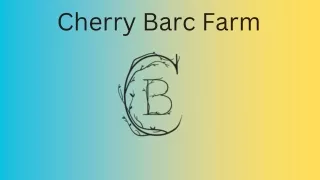 Barn Wedding - Cherry Barc Farm