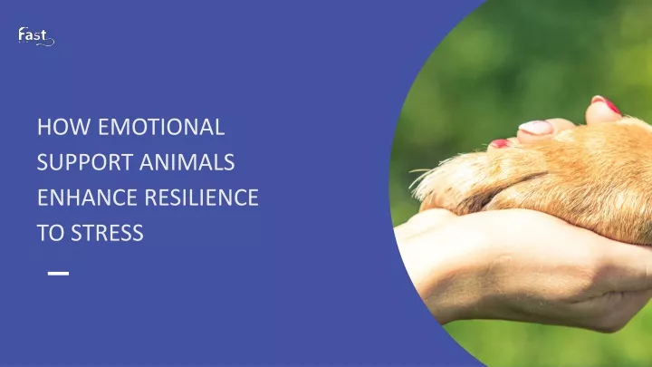 how emotional support animals enhance resilience