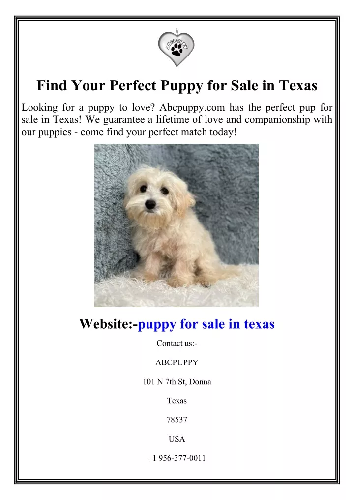 find your perfect puppy for sale in texas