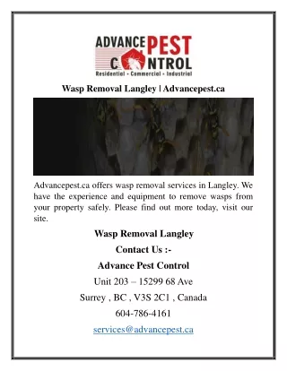 Wasp Removal Langley  Advancepest.ca