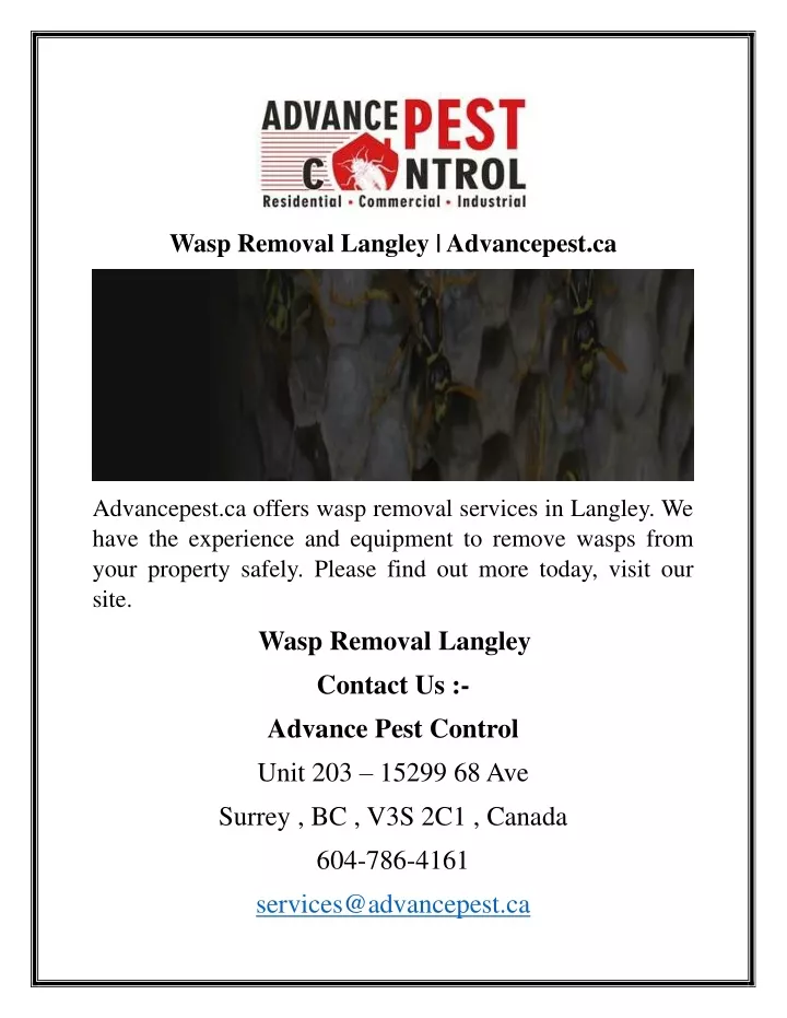 wasp removal langley advancepest ca