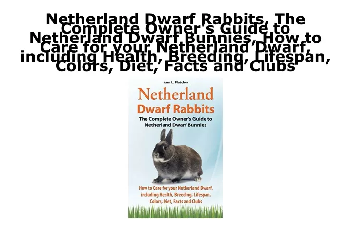 netherland dwarf rabbits the complete owner