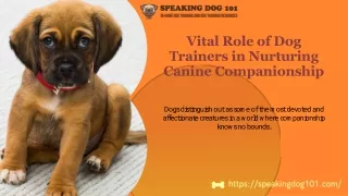 Vital Role of Dog Trainers in Nurturing Canine Companionship