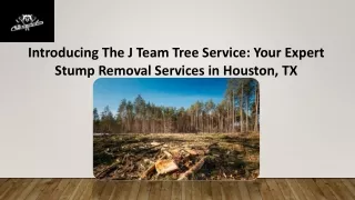 Stump Removal Services in Houston TX - The J Team Tree Service