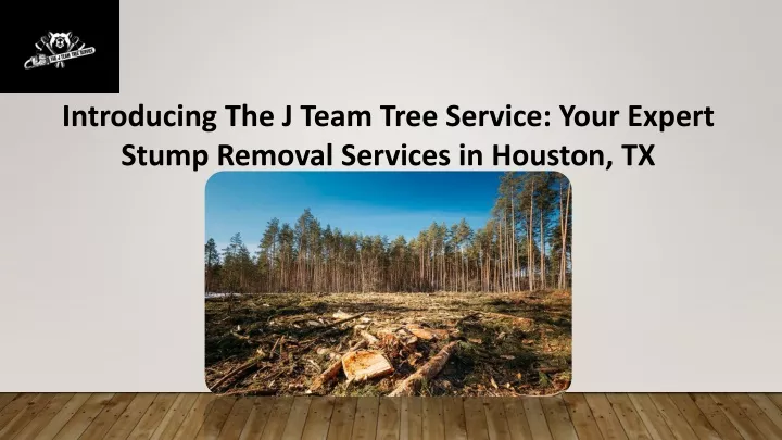 introducing the j team tree service your expert