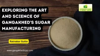 Sugar Manufacturing in Gangakhed: Bridging Art and Science | Ratnakar Gutte