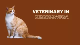Veterinary in Mississauga