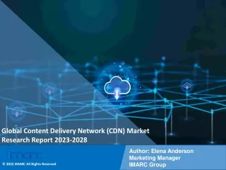 Global Content Delivery Network (CDN) Market Size, 2023-2028