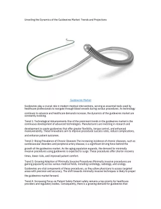 Guidewires Market.pdf