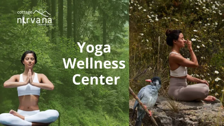 yoga wellness center