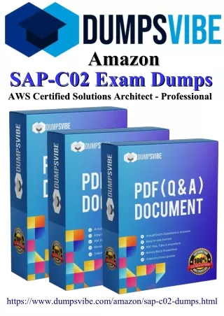 Stay Updated with Dumpsvibe's Latest Amazon DVA-C02 Exam Dumps