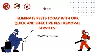 Eliminate Pests Today with Our Quick and Effective Pest Removal Services! | 941