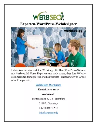 Experten-WordPress-Webdesigner