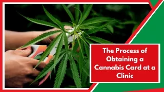Expert Guidance on Cannabis Access