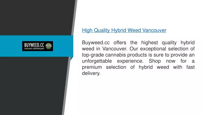 high quality hybrid weed vancouver buyweed