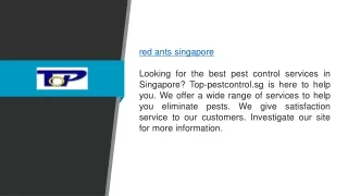 Red Ants Singapore  Top-pestcontrol.sg