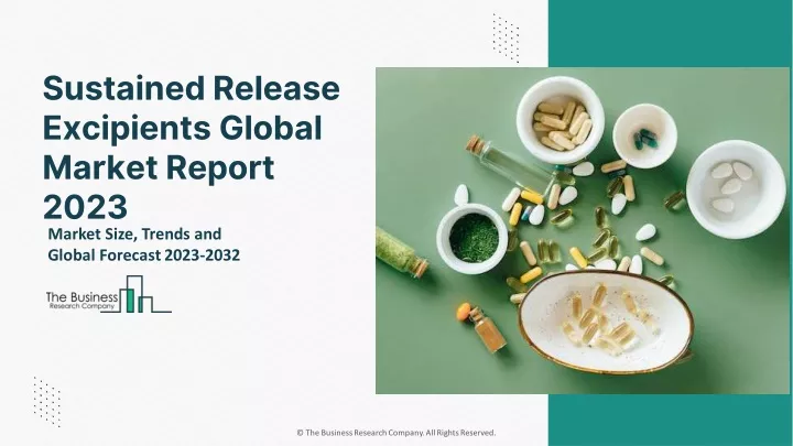 sustained release excipients global market report