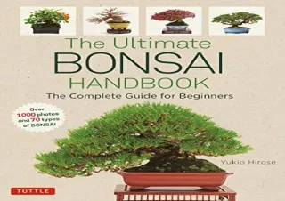 PDF Download The Ultimate Bonsai Handbook: The Complete Guide for Beginners