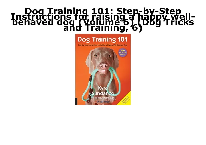 dog training 101 step by step instructions