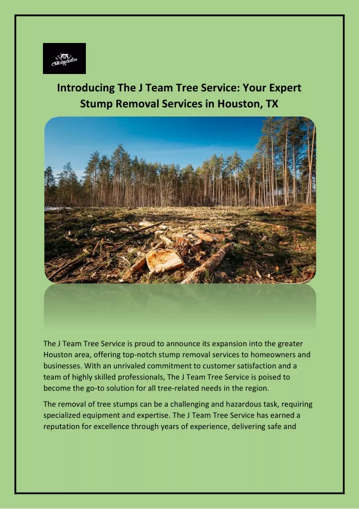 introducing the j team tree service your expert