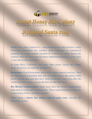 About Honey Bee Colony Removal Santa rosa
