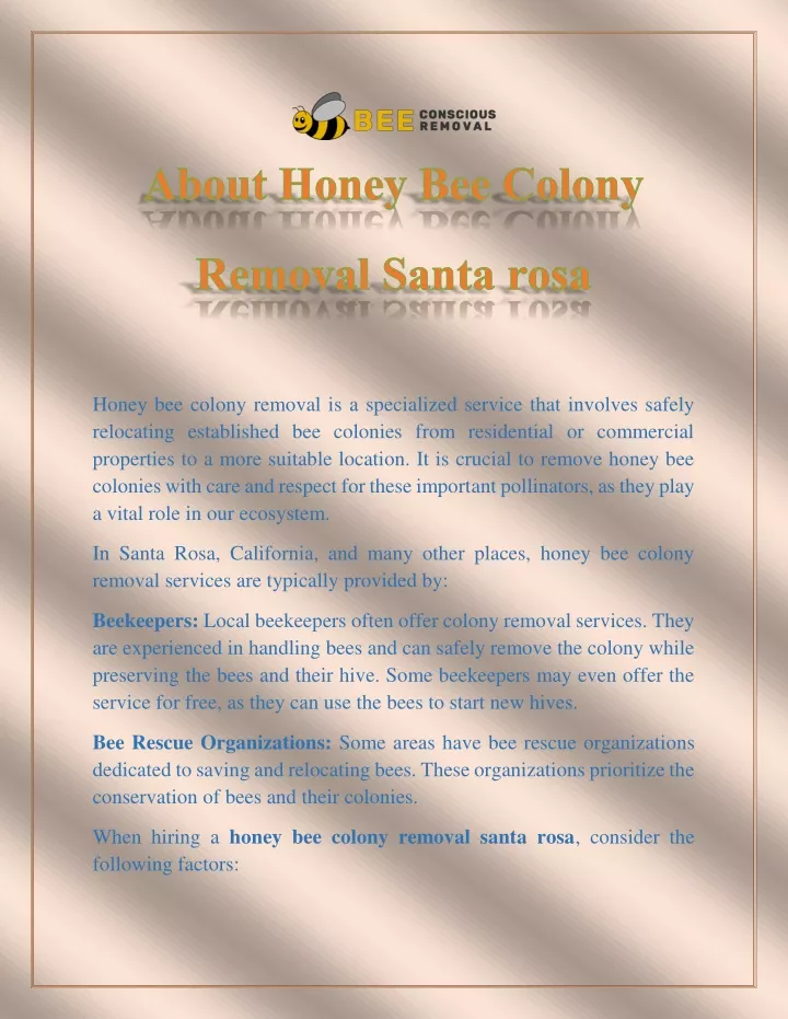 honey bee colony removal is a specialized service