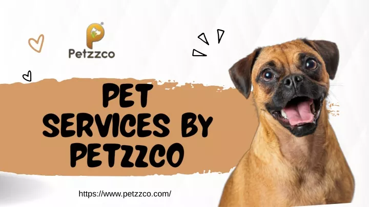 pet services by petzzco