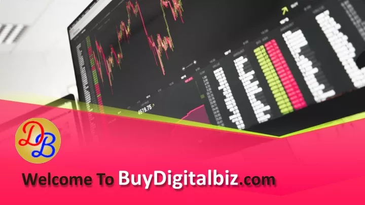 welcome to buydigitalbiz com