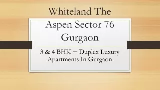 Whiteland The Aspen Sector 76 Gurgaon ppt 11 aug 2023 maninder