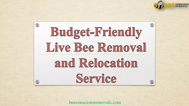 budget friendly live bee removal and relocation service