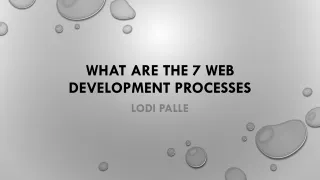 What are the 7 Web Development Processes - Lodi Palle