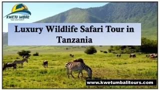 Luxury Wildlife Safari Tour in Tanzania