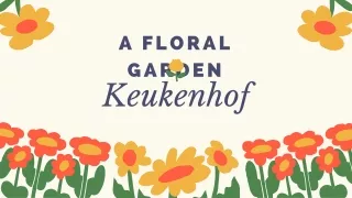 Keukenhof-Garden