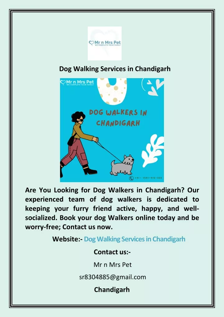 dog walking services in chandigarh