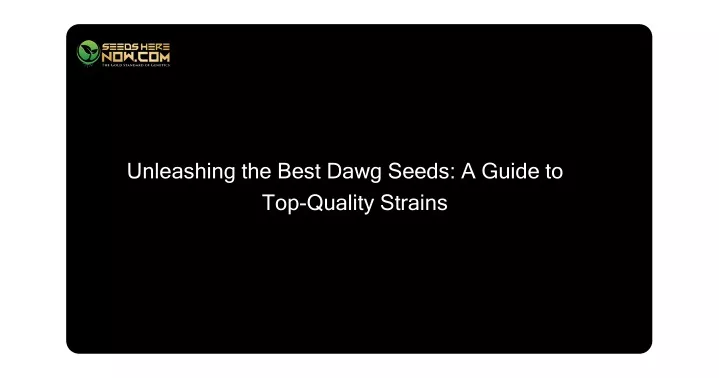 unleashing the best dawg seeds a guide to top quality strains