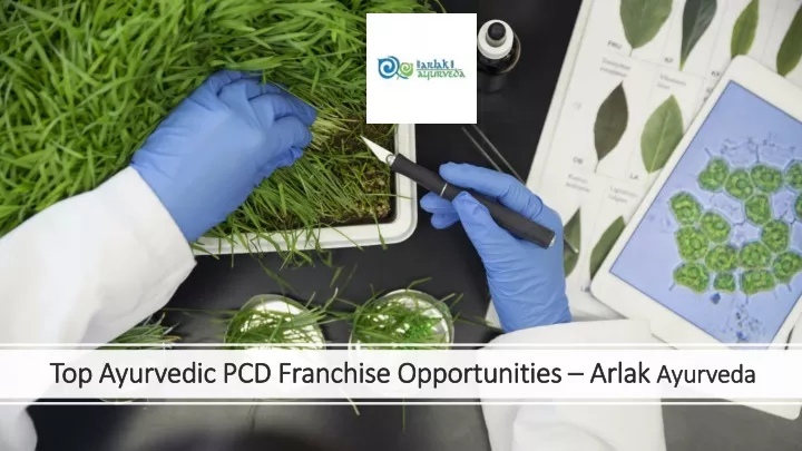 top ayurvedic pcd franchise opportunities arlak ayurveda