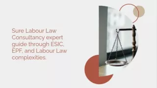 Sure Labour Law Consultancy