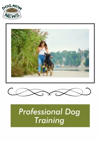 Professional Dog Training