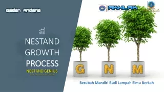 3a. Kide_Nestand Growth Process