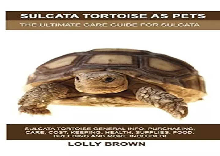 PPT - [PDF] Sulcata Tortoise as Pets: Sulcata Tortoise General Info ...