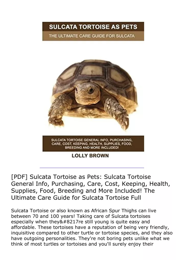 PPT - [PDF] Sulcata Tortoise as Pets: Sulcata Tortoise General Info ...