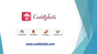 Looking for Dog Walker Job Charlotte, NC? Join Cuddlytails Today!