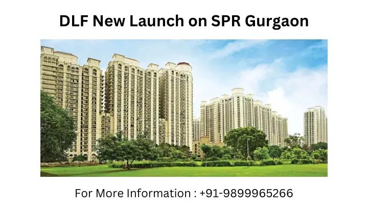 dlf new launch on spr gurgaon