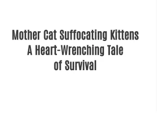 Mother Cat Suffocating Kittens A Heart-Wrenching Tale of Survival