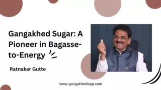 Gangakhed Sugar: A Pioneer in Bagasse-to-Energy