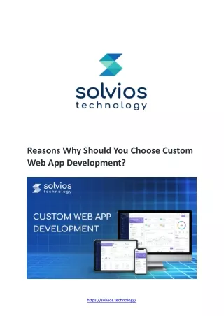 Reasons Why Should You Choose Custom Web App Development